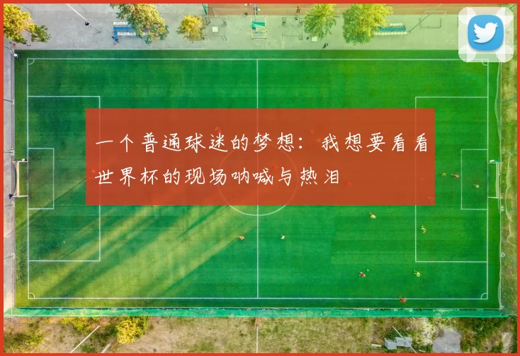 一个普通球迷的梦想:我想要看看世界杯的现场呐喊与热泪