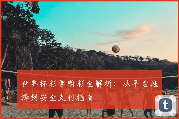 世界杯彩票购彩全解析:从平台选择到安全支付指南