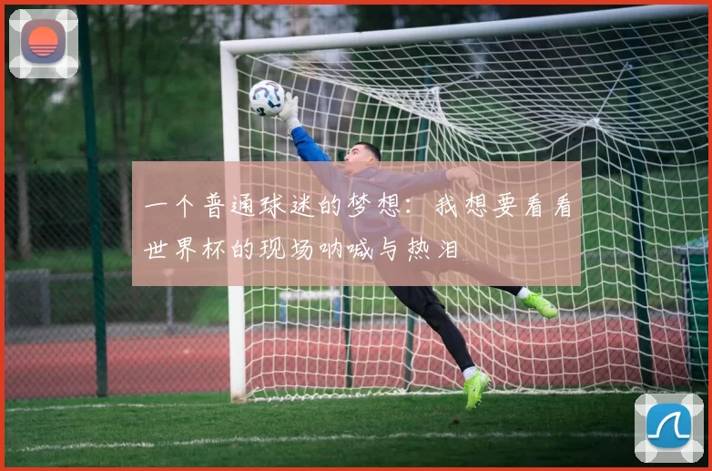 一个普通球迷的梦想:我想要看看世界杯的现场呐喊与热泪