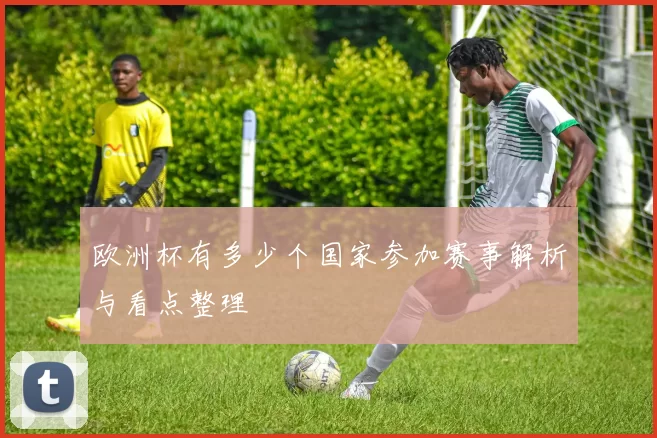 欧洲杯有多少个国家参加赛事解析与看点整理