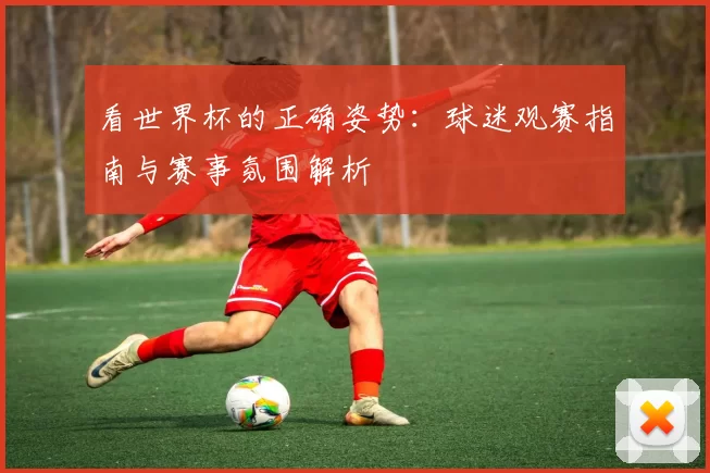 看世界杯的正确姿势:球迷观赛指南与赛事氛围解析
