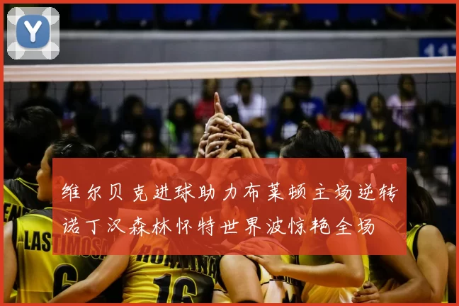 维尔贝克进球助力布莱顿主场逆转诺丁汉森林怀特世界波惊艳全场