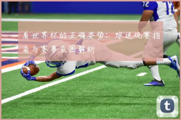 看世界杯的正确姿势：球迷观赛指南与赛事氛围解析