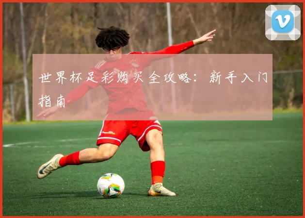 世界杯足彩购买全攻略：新手入门指南
