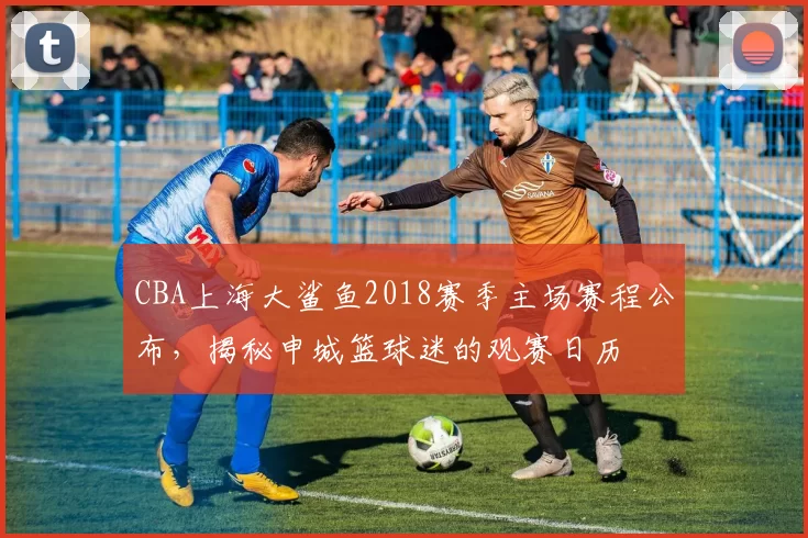 CBA上海大鲨鱼2018赛季主场赛程公布，揭秘申城篮球迷的观赛日历