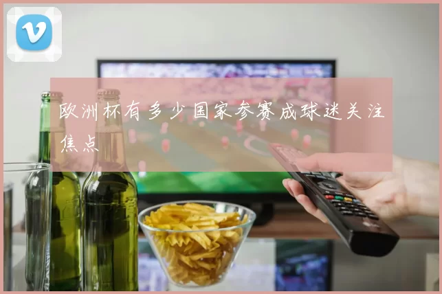 欧洲杯有多少国家参赛成球迷关注焦点