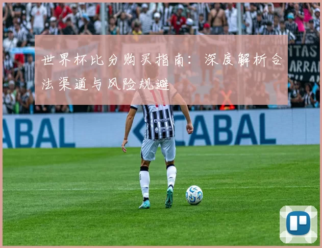 世界杯比分购买指南：深度解析合法渠道与风险规避